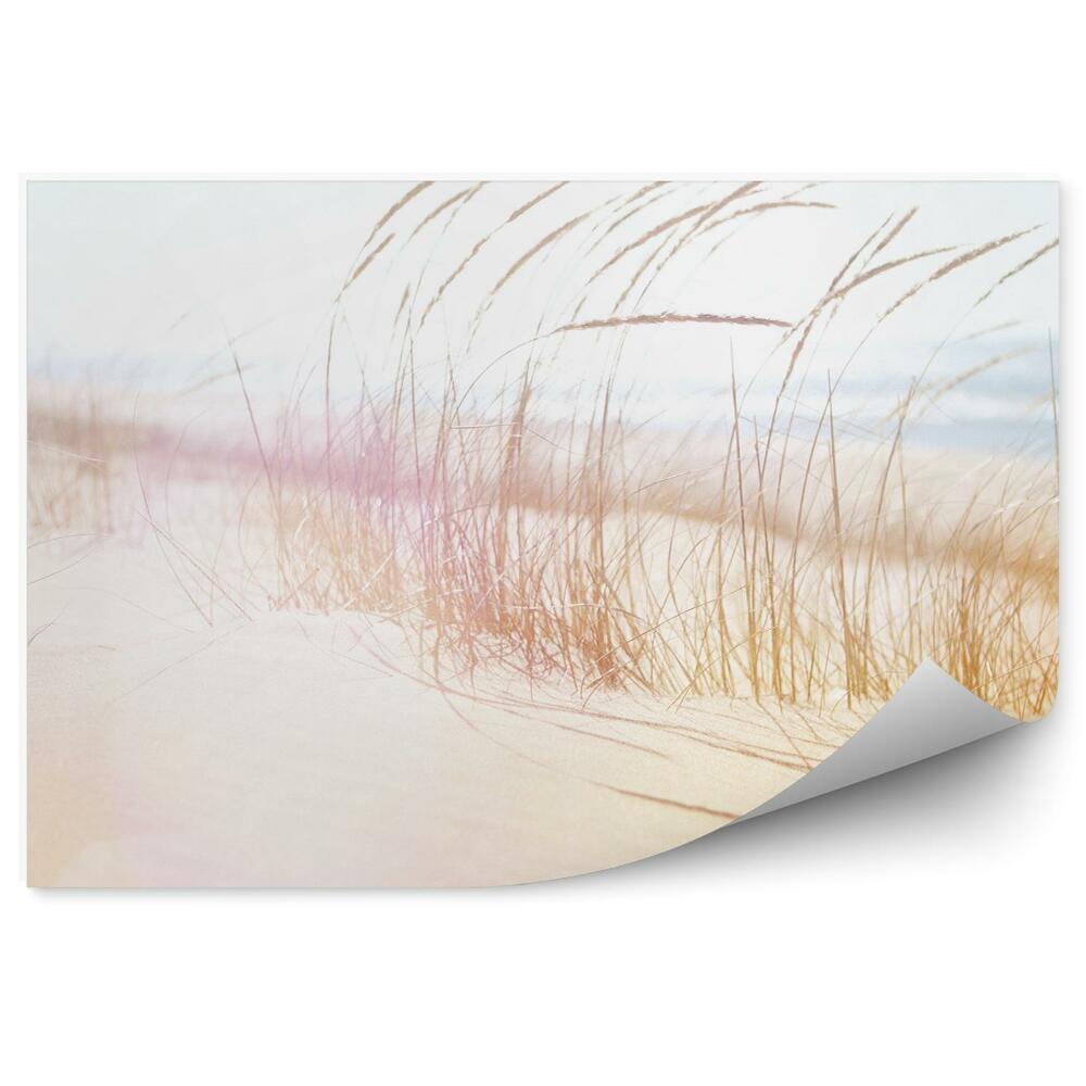 Papier peint Plage D'herbe Sable Océan