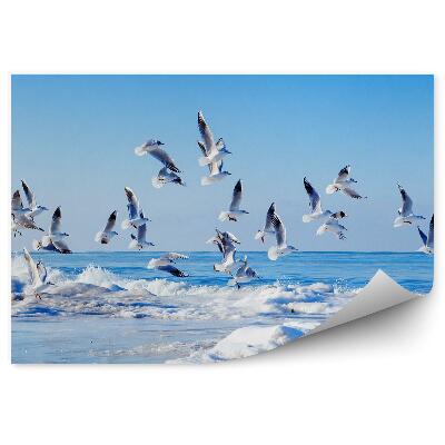 Papier peint Vol De Mouettes Blanches Gelées Ciel De Mer Vagues