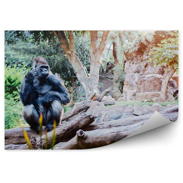 Papier peint Gorille Assis Sur Un Tronc Dans La Jungle