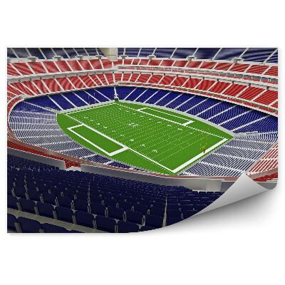 Papier peint Terrain de football américain 3d