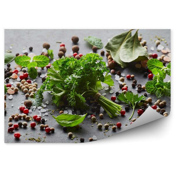 Tapisserie panoramique Epices herbes sel poivre ail fond graphite