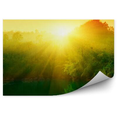 Papier peint Coucher de soleil Jungle Thaïlande Eau