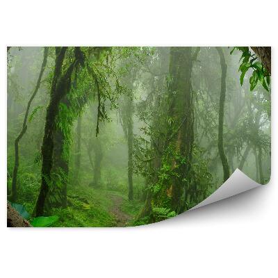 Papier peint Népal Jungle profonde Fougères