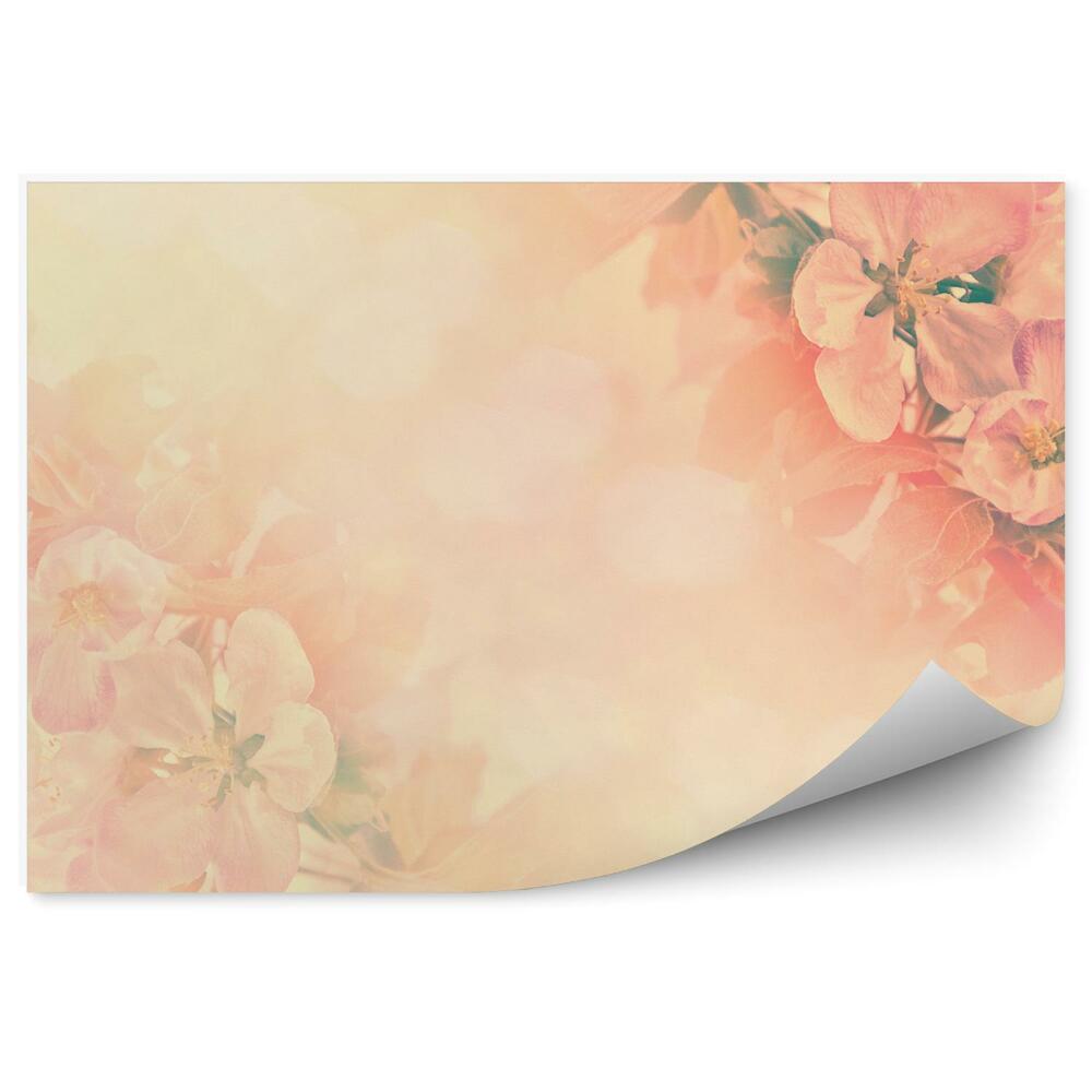 Papier peint Fond de fleurs de pommier orange