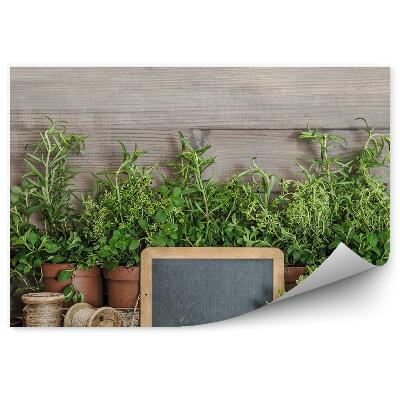 Tapisserie murale Cuisine herbes en pot outils ficelle bois