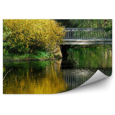 Papier peint Pont d'eau Arbustes Verdure Plantes