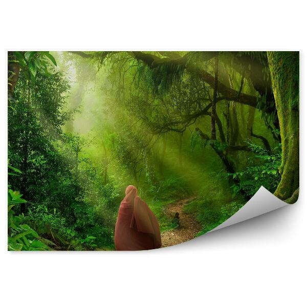 Papier peint Personnage Voyageur Arbres Chemin Végétation