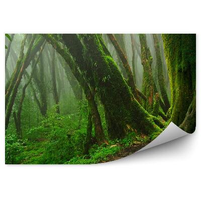 Papier peint Jungle tropicale profonde Mousse Feuilles vertes