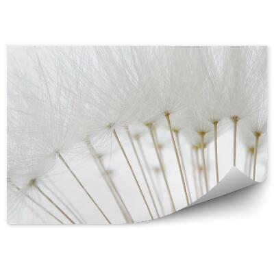 Papier peint Gouttes de rosée