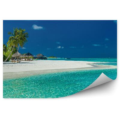 Papier peint Palmiers Plage Chaises longues Randonnée Eté