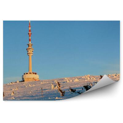 Papier peint Neige Hiver Sudets Ciel Bleu