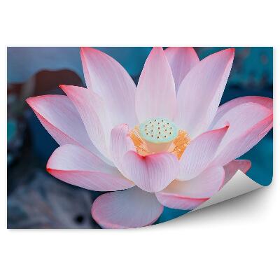 Papier peint Nénuphar déplié