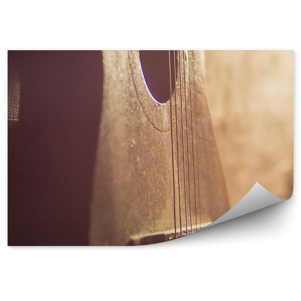 Papier peint Guitare acoustique murale
