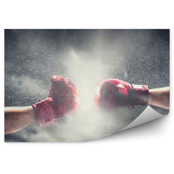 Papier peint Gants de boxe pluie