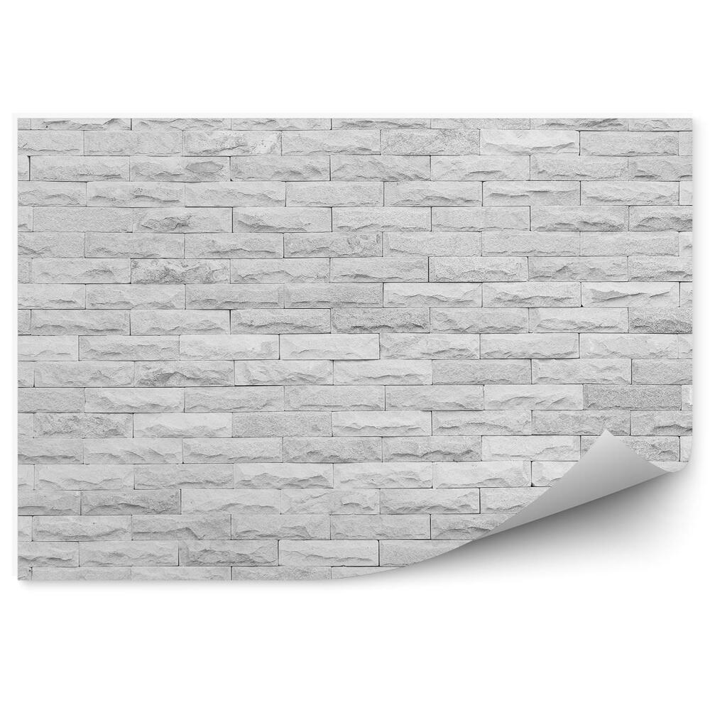 Papier peint Mur de marbre
