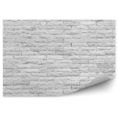 Papier peint Mur de marbre