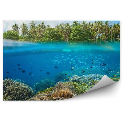 Papier peint Poisson Récif corallien Palmiers tropicaux Ligne de flottaison