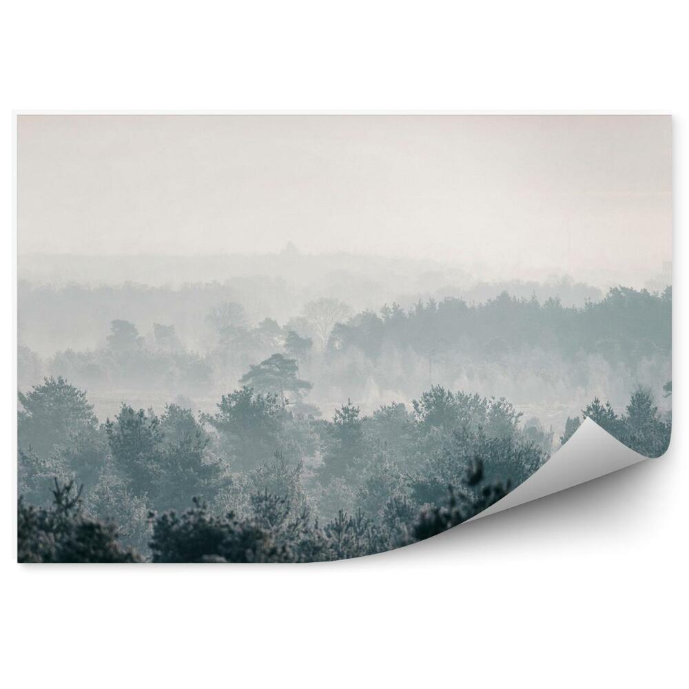 Papier peint Forêt de pins d'hiver dans le brouillard