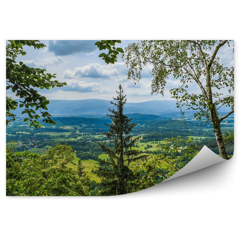 Papier peint Vue De La Forêt Sur Les Villages Des Clairières Des Montagnes