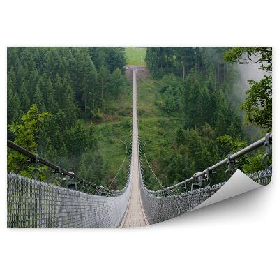 Papier peint Long pont suspendu au-dessus d'un précipice