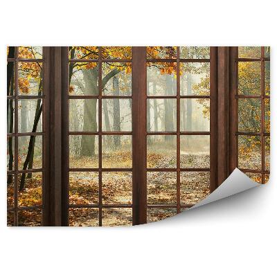 Papier peint Parc d'automne à l'extérieur de la fenêtre Fenêtre en bois