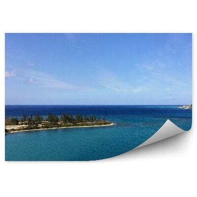 Papier peint Baie des îles Plantes Horizon