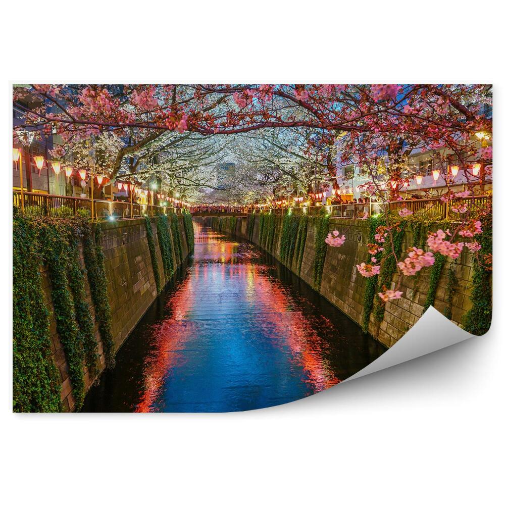 Papier peint Cerisiers en fleurs Lierre Lanternes Mur Rivière Japon Tokyo