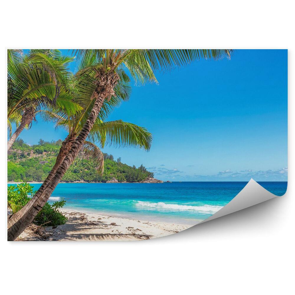 Papier peint Tropical Beach Ocean Rocks Plants Trees Sky Clouds Seychelles