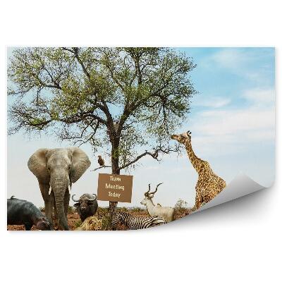 Papier peint Animaux Savane Arbre Inscription