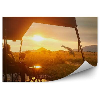 Papier peint Safari Femme dans une tente Girafes Coucher de soleil sur la savane