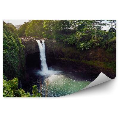 Papier peint Îles Cascade Eau Végétation Verdure