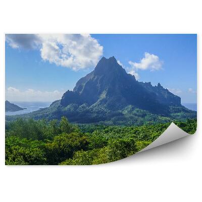 Papier peint Vue d'oiseau Bay Hill Lagoon