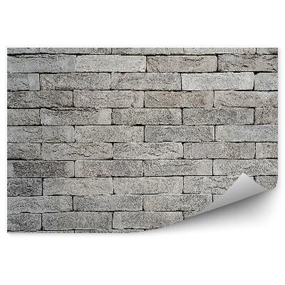 Papier peint Mur de briques grises