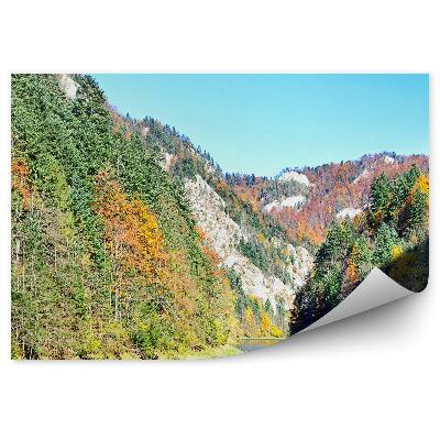 Papier peint Forêt D'automne De Dunajec Noir À Pieniny