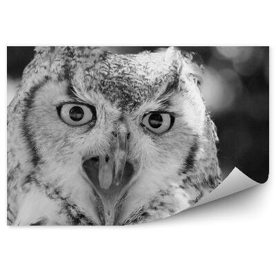 Papier peint Chouette Rayée Au Bec Ouvert