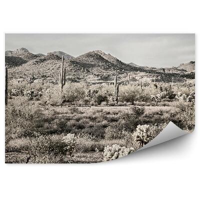 Papier peint Sepia Cactus Plantes Arbres Ciel Nuages Désert