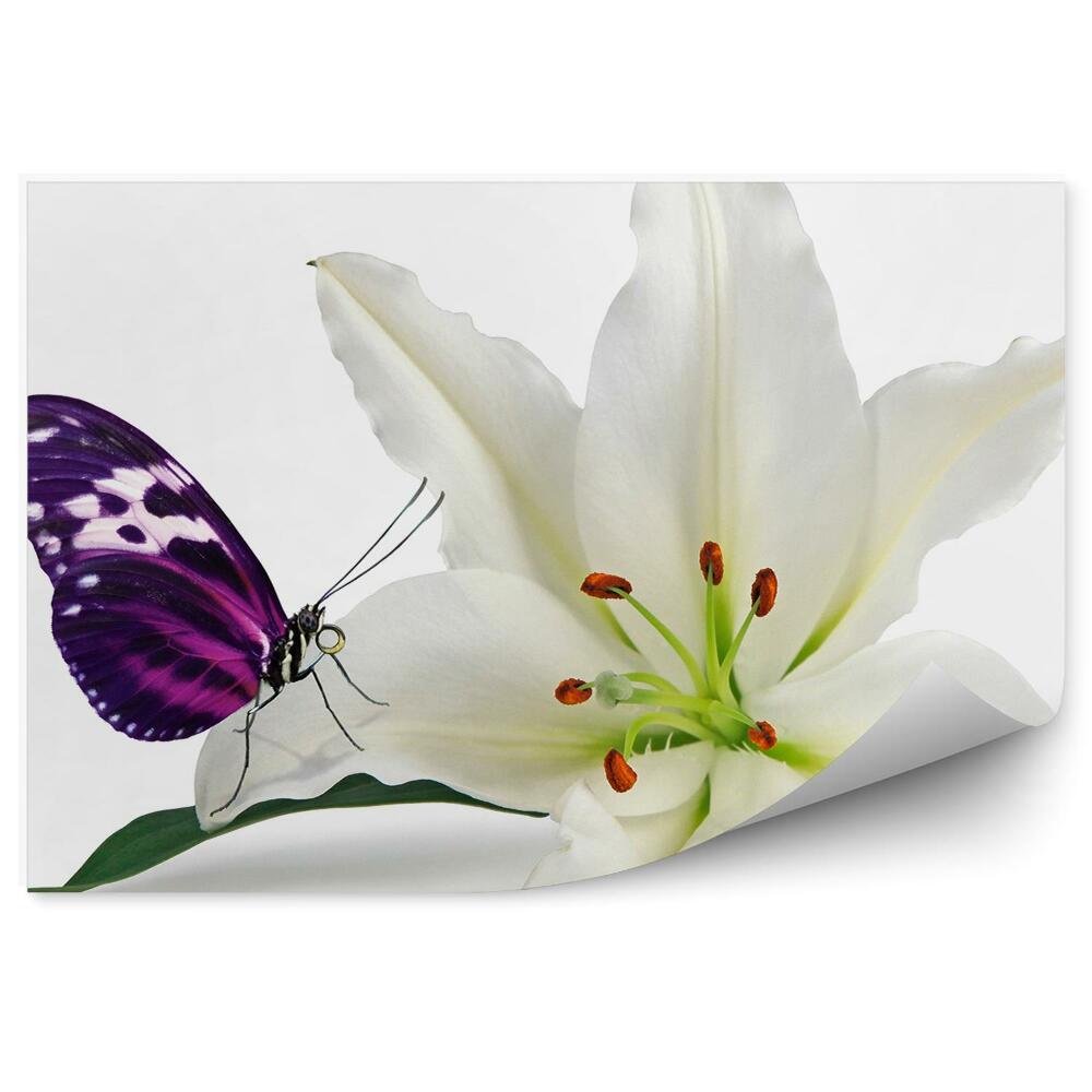 Papier peint Fleur de lys blanc violet papillon