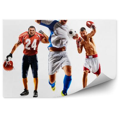 Papier peint Collage de sports : football américain, boxe, etc.
