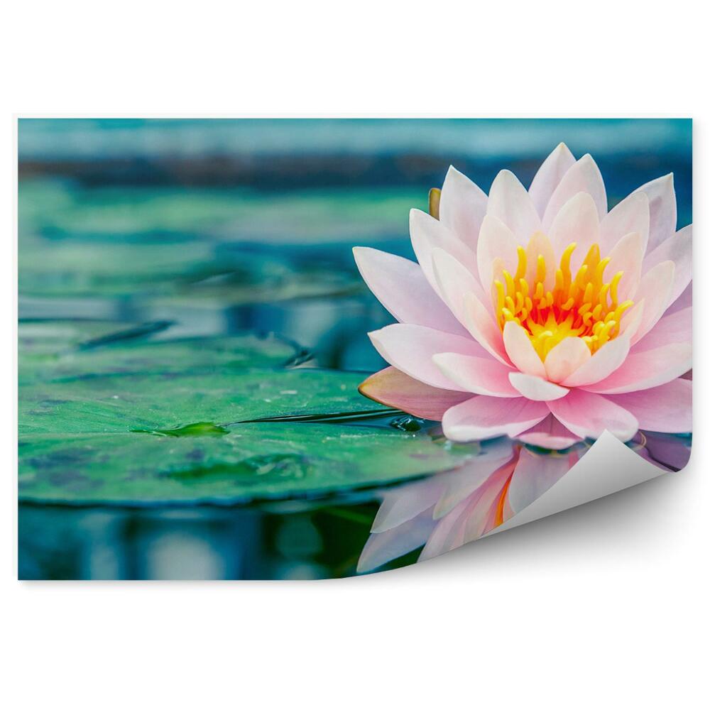 Papier peint Étang de nénuphars roses