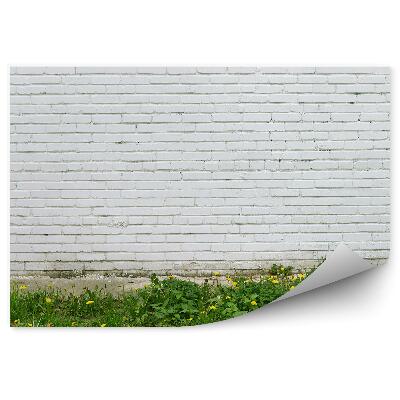 Papier peint Mur blanc Herbe Pissenlit Ville