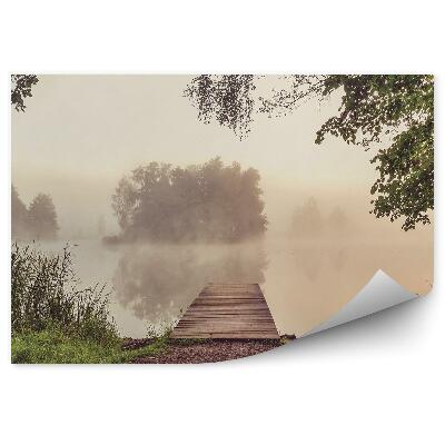 Papier peint Plateforme Terre Herbe Arbres Brume Lac