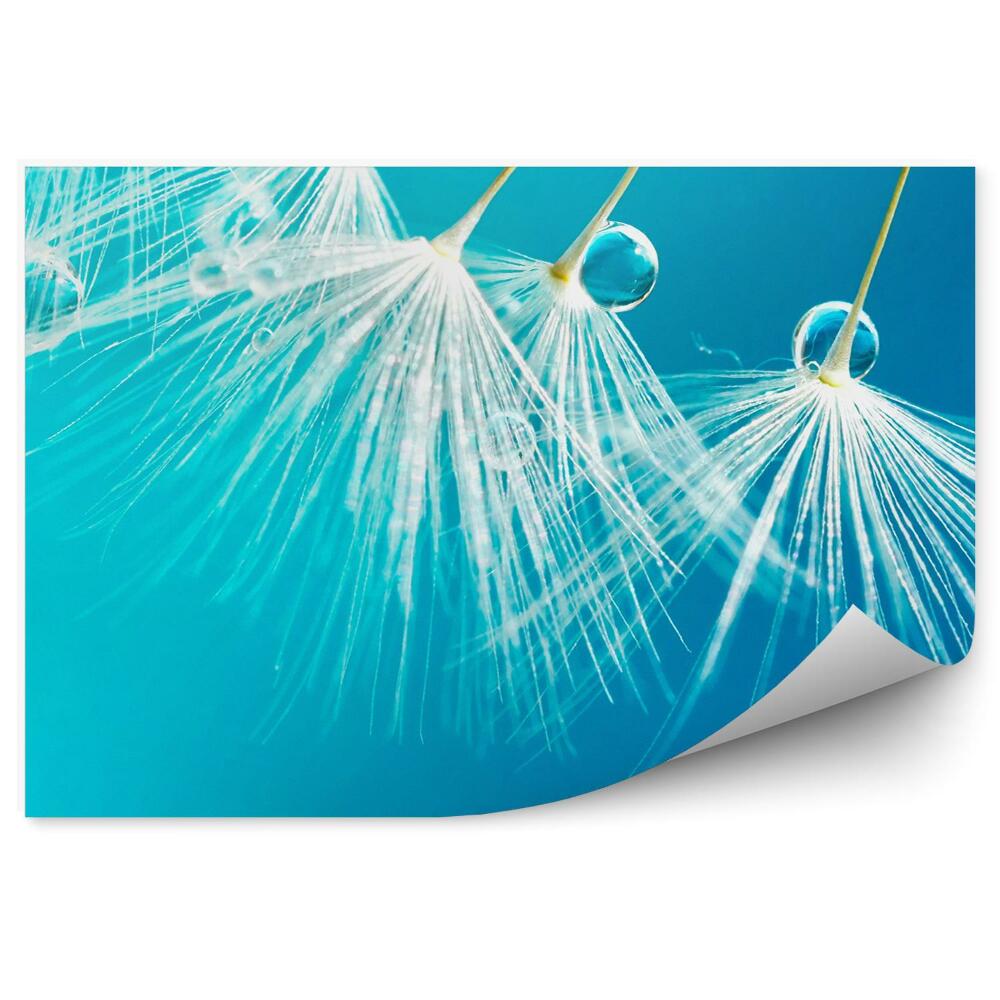 Papier peint Goutte d'eau fleurs de moucheron