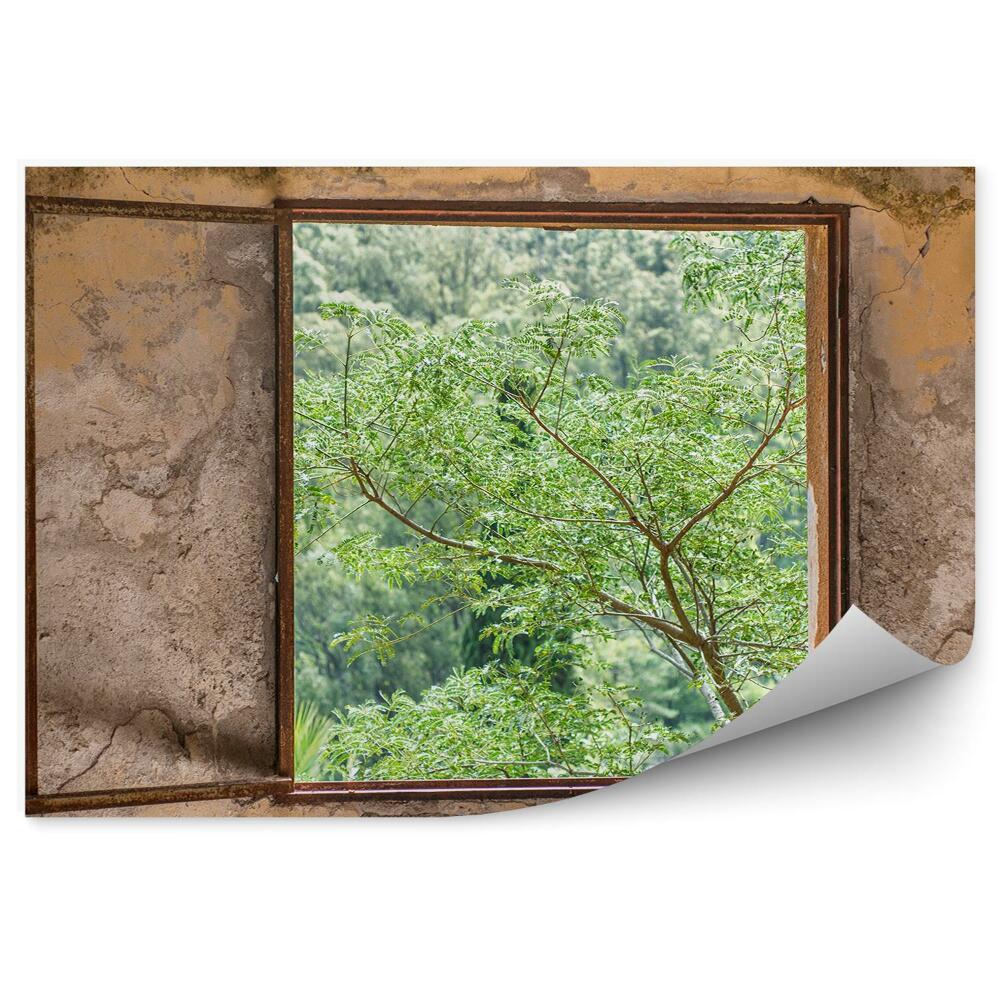 Papier peint Fenêtre Donnant Sur La Forêt, La Montagne Et Le Sorbier
