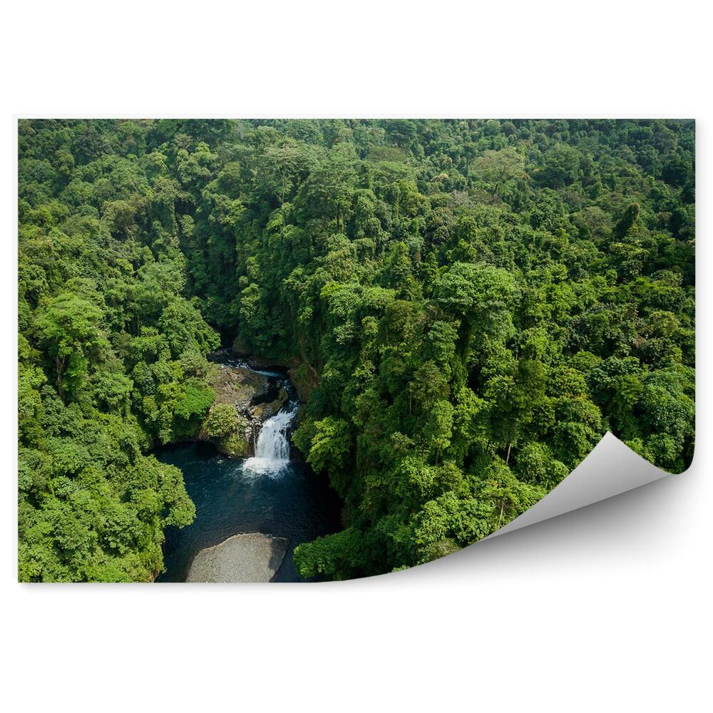 Papier peint forêt rivière nature nature