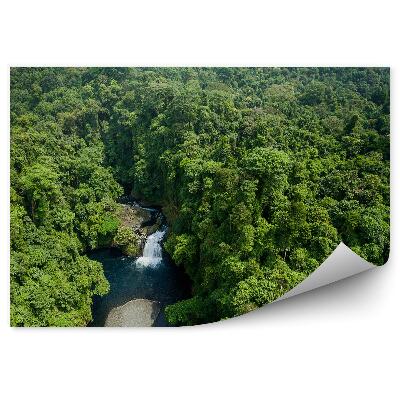 Papier peint forêt rivière nature nature