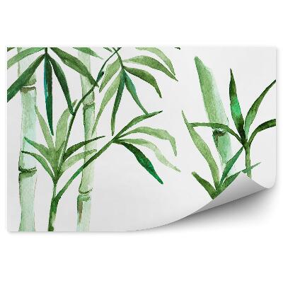 Papier peint Poteaux de feuilles de bambou peints sur fond blanc