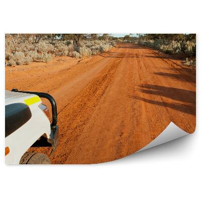 Papier peint Route sable nature végétation safari