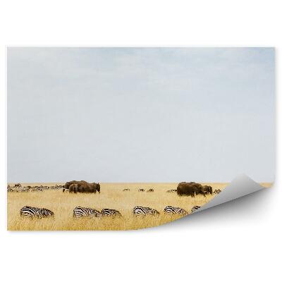 Papier peint Zèbres Éléphant Arbre Herbe Savane Ciel Nuages