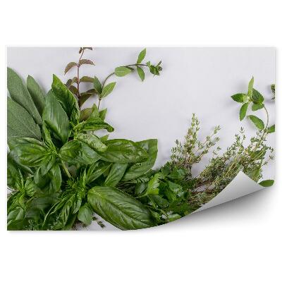 Tapisserie murale Composition d'herbes basilic thym menthe verte fraîches