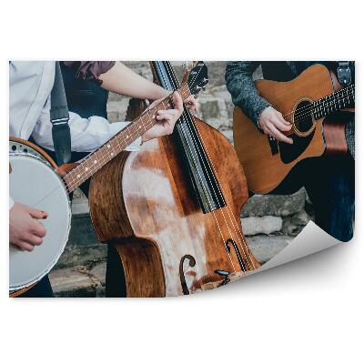 Papier peint Banjo Guitare Contrebasse Musiciens Escaliers Concert